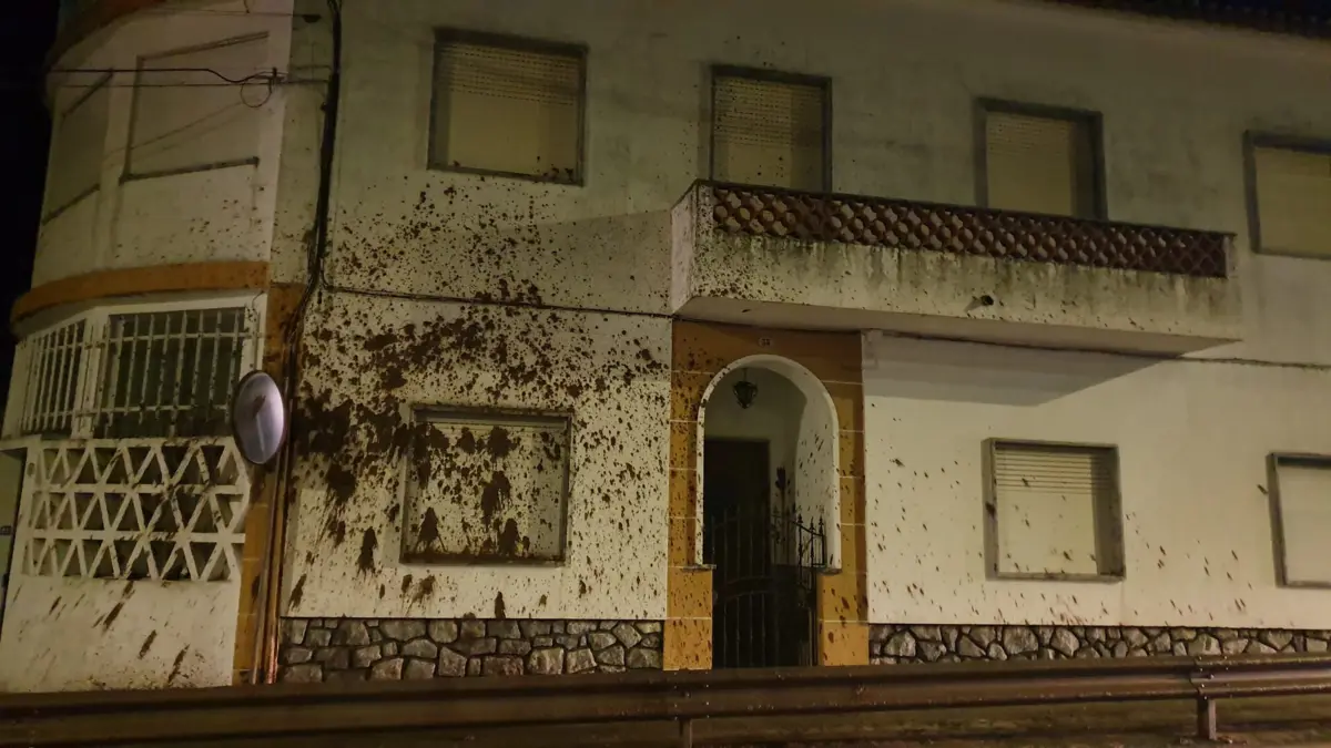 Fachada de casa de Beringel suja com bagaço de azeitona, que transbordou de camião.