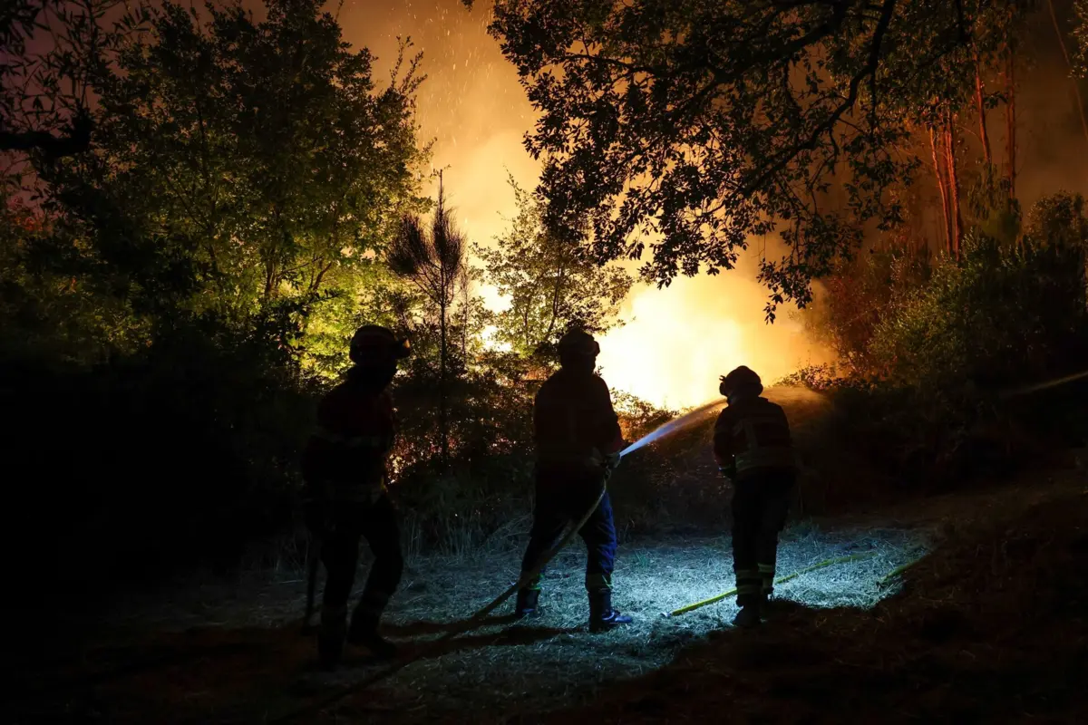 Imagem de contexto do artigo O "pior já passou" em Pedrógão Grande