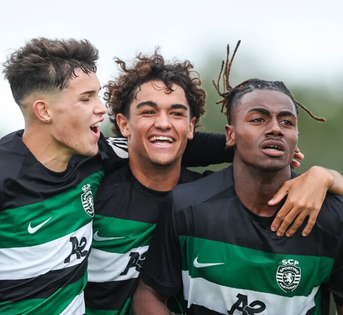 Festa dos jovens leões