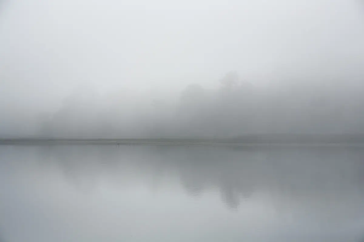 Esperado nevoeiro intenso nos quatro distritos até às 12 horas de quarta-feira