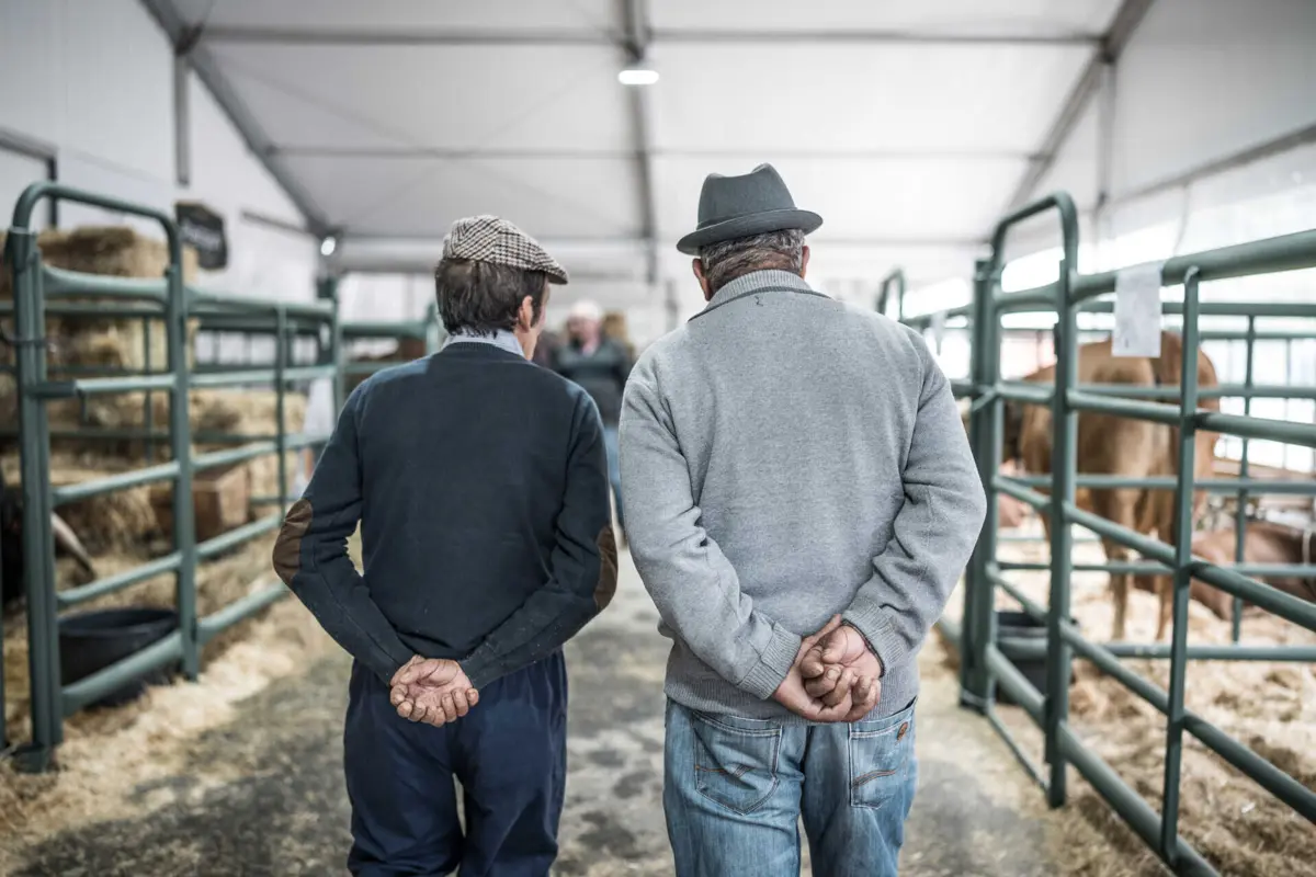 Feira atrai público de todas as idades
