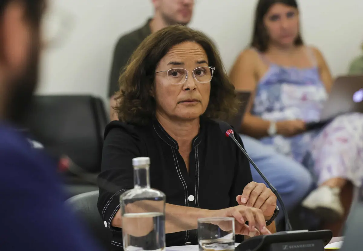 Deputados dizem que não conseguiram identificar, "com total certeza, contactos realizados entre Maria João Ruela e as diversas instituições hospitalares”