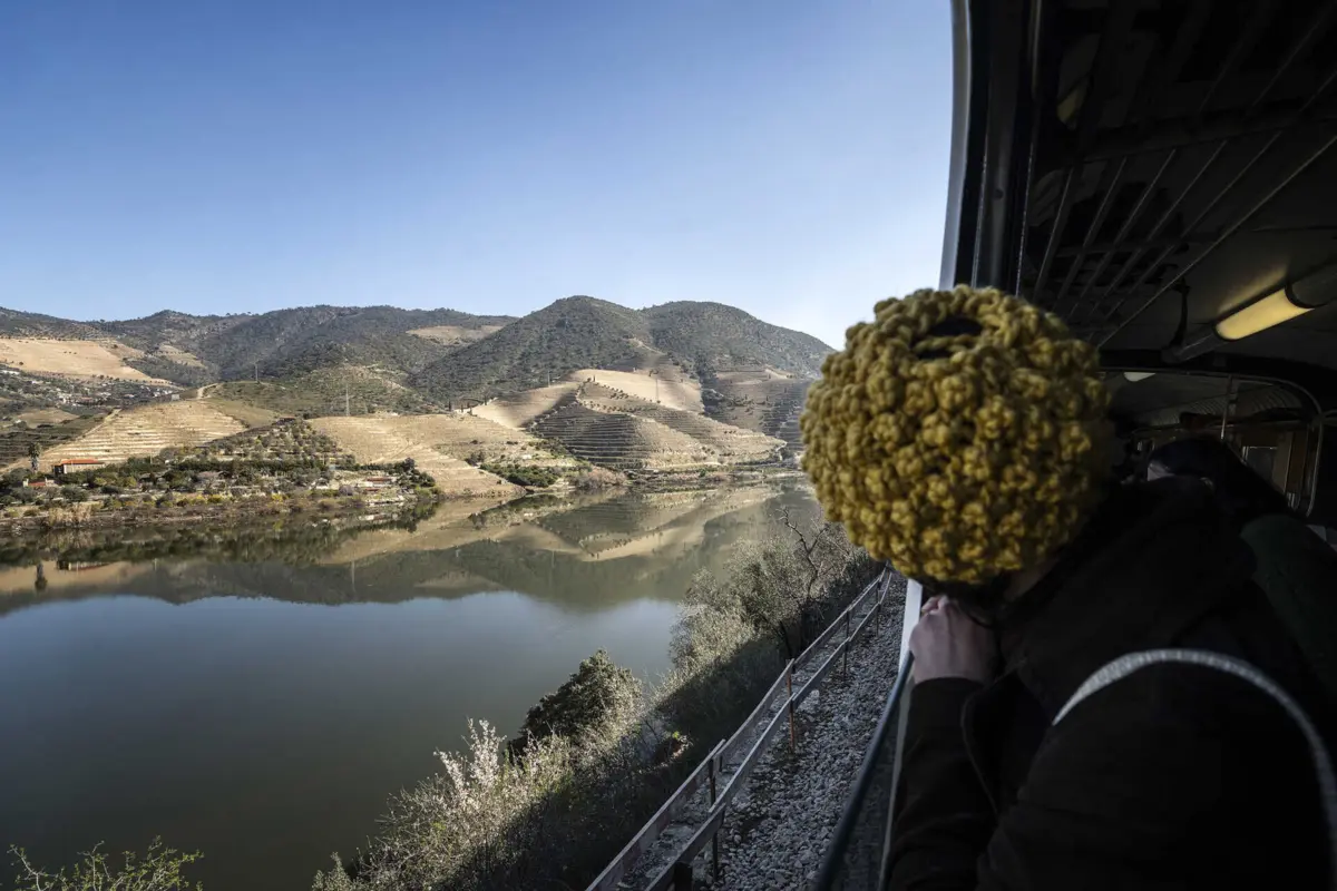 Festival é uma das marcas culturais do município de Vila Nova de Foz Côa