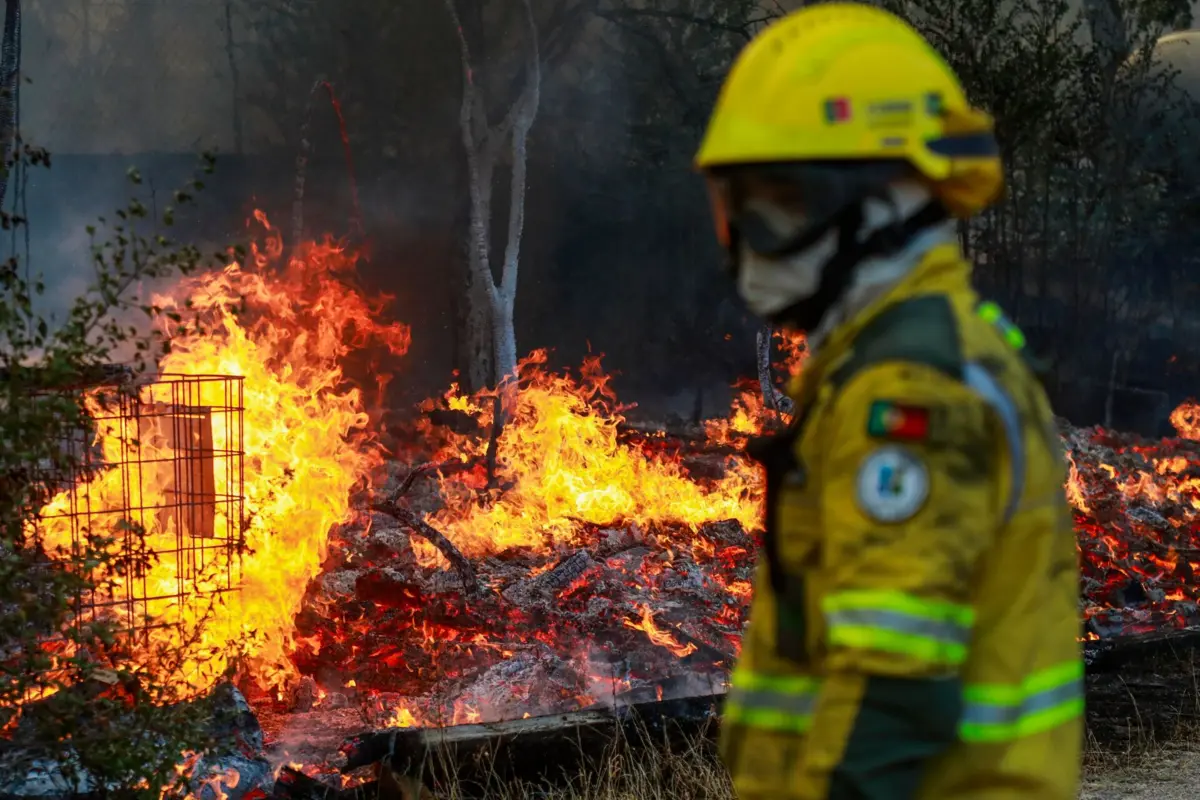 Imagem de contexto do artigo Mais de 300 bombeiros combatem fogo na Covilhã