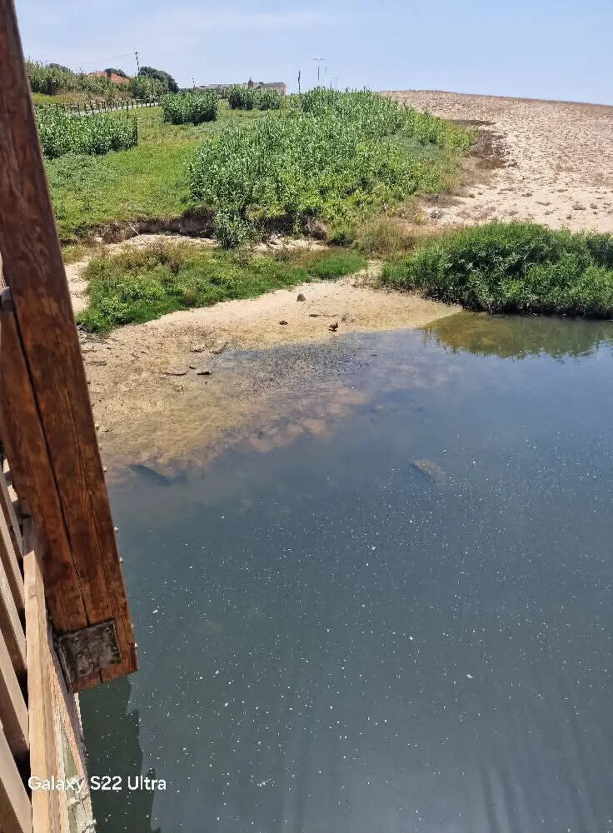 Foco de poluição no rio Onda matou peixes, patos e outras aves