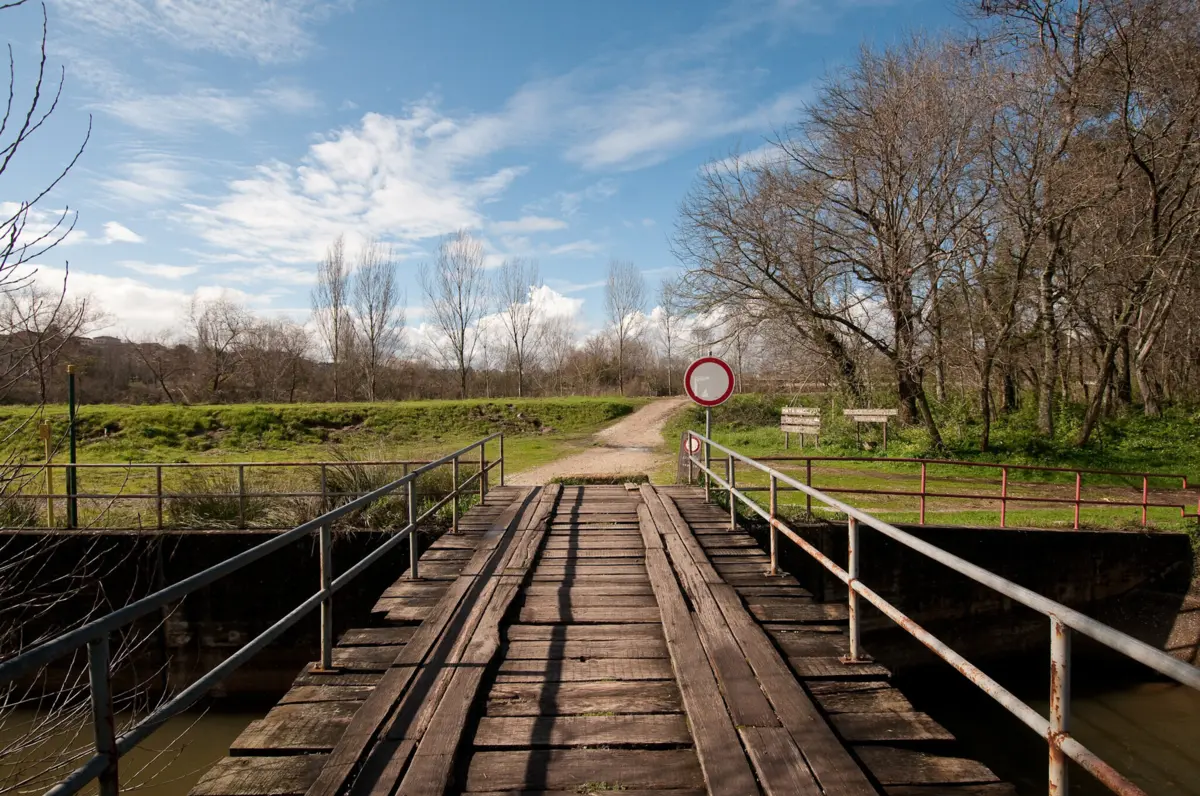 Imagem de contexto do artigo “Pensava que ele me ia atirar ao rio e me ia matar”, diz professora assaltada