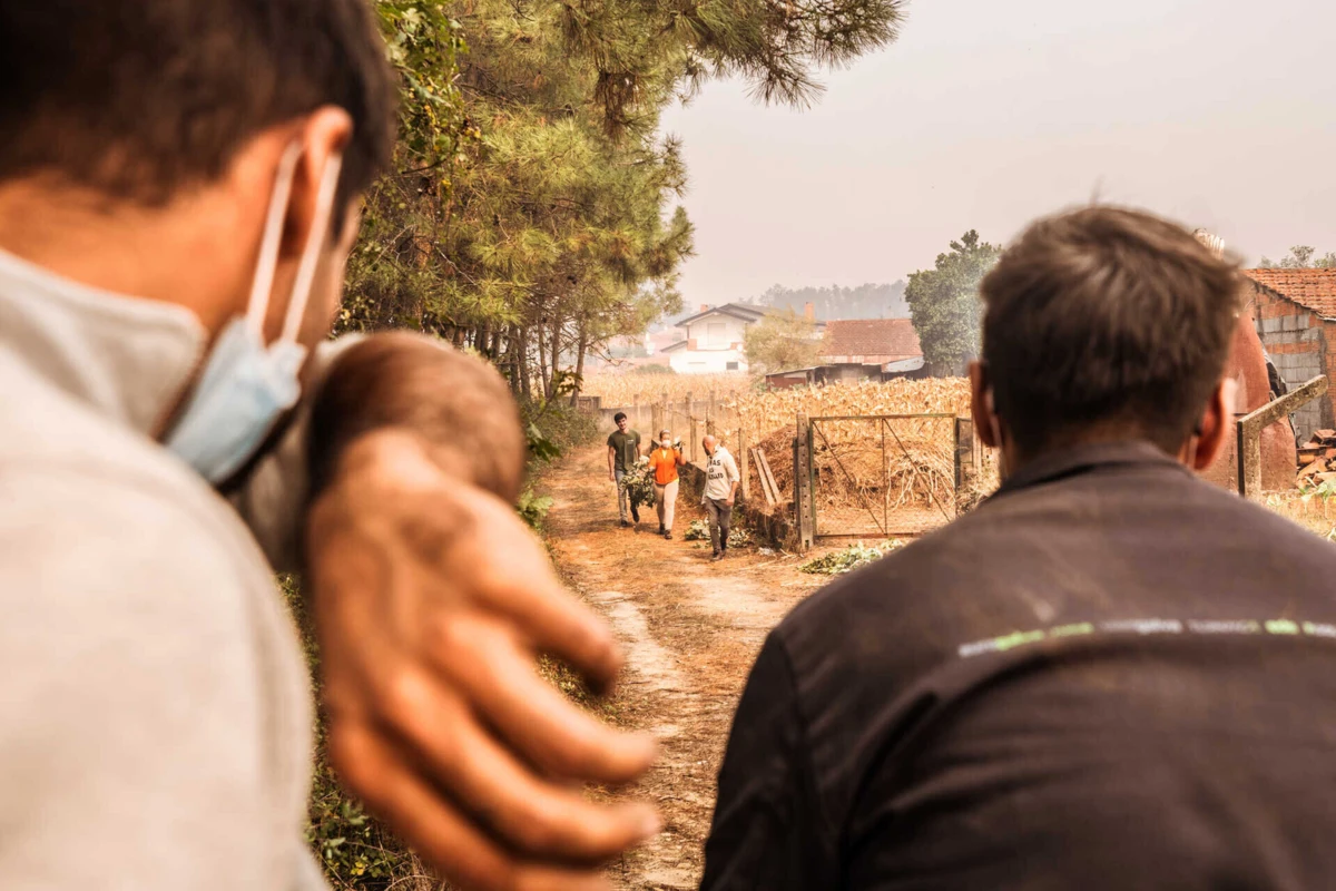 Fial, em Albergaria-a-Velha, foi um dos lugares afetados pelas chamas