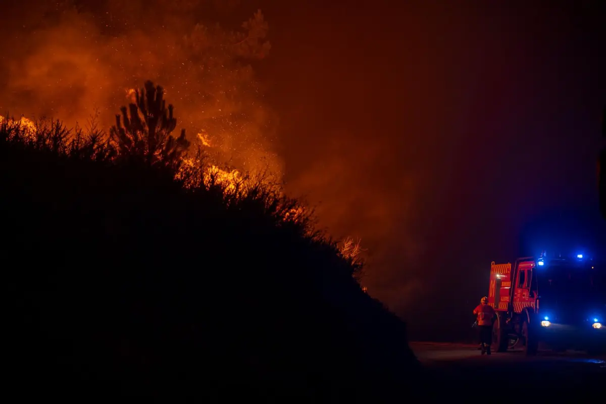 O Governo determina ainda que o ICNF promoverá ações de prevenção em espaços florestais