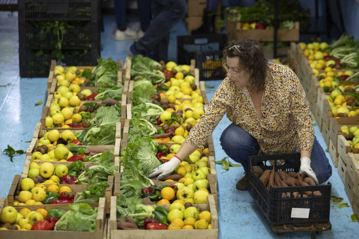 Imagem de contexto do artigo A fruta é feia mas a causa é bonita: projeto combate o desperdício há 10 anos