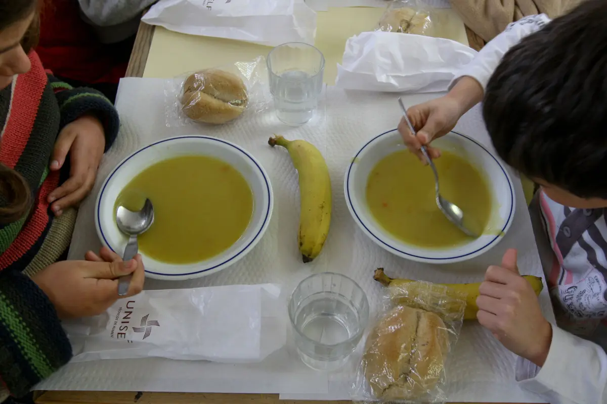 DGEEC analisou as assimetrias entre as escolas públicas nos ensinos básico e secundário em 2022-2023.