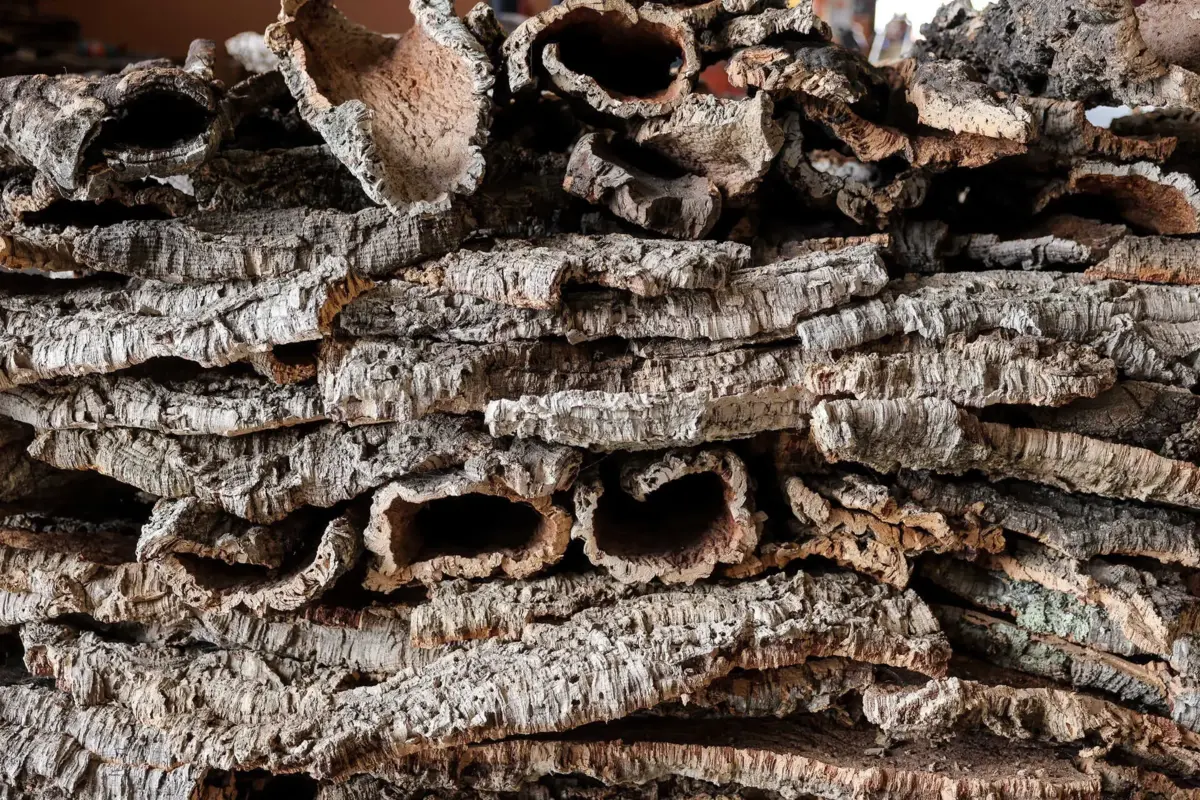 Mulher conduzia um veículo carregado com 395 quilos de cortiça