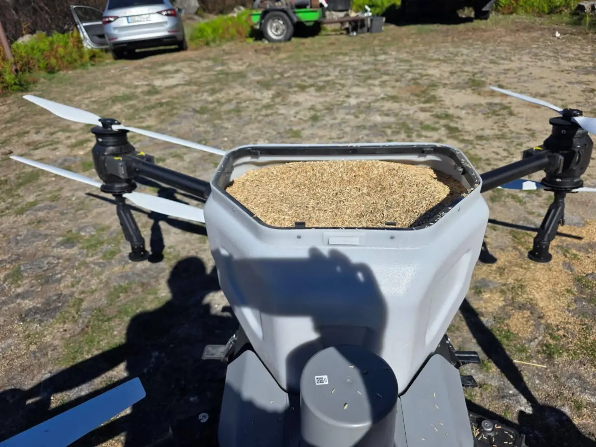 Sementeiras para regenerar área ardida no verão em Ponte da Barca