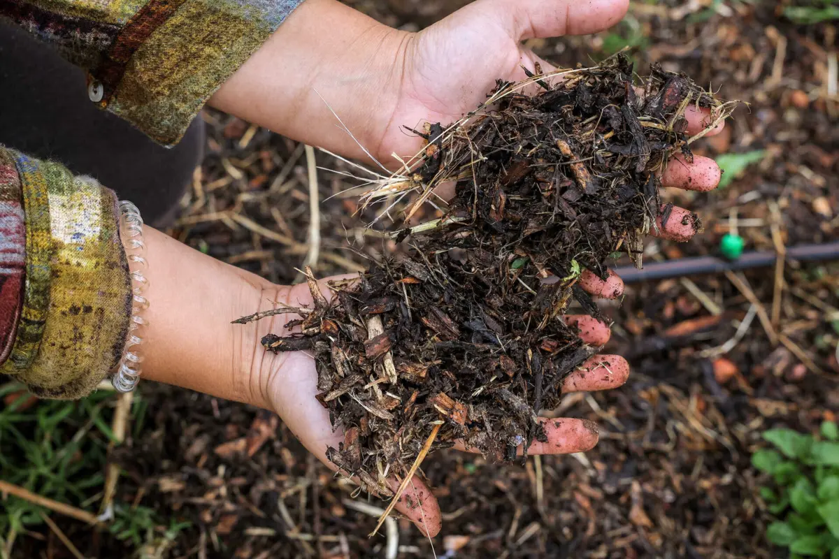 Imagem de contexto do artigo Escassez de água no Algarve é a "pior de sempre"