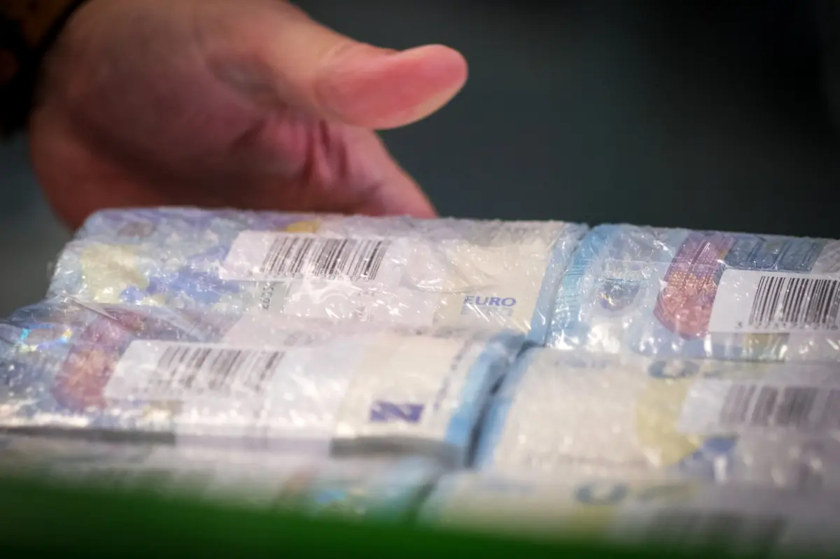 Os arguidos ter-se-ão apropriado de milhares de euros