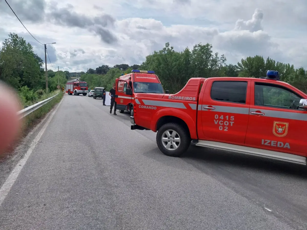 Trabalhador de empresa privada colhido durante limpeza da via