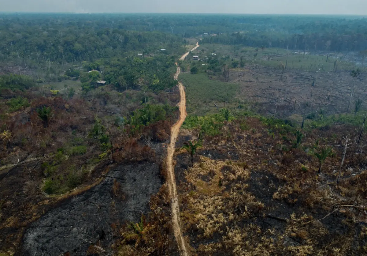 A Amazónia brasileira registou 13.943 incêndios florestais em novembro