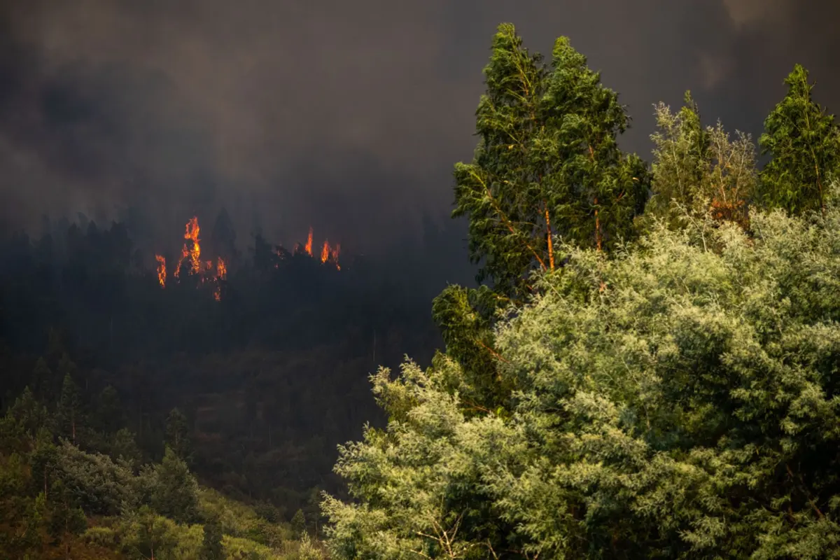 Incêndios que lavram no concelho da Covilhã estão na "iminência de entrar" no Fundão