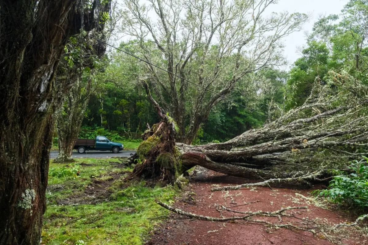 Tempestade Gabrille passou pelos Açores, atingiu Portugal continental e segue em direção a Espanha