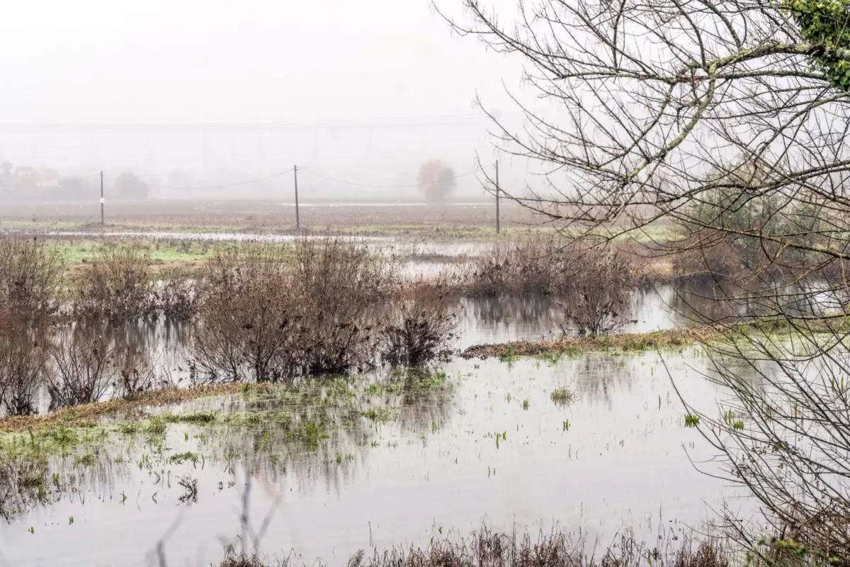 Imagem de contexto do artigo Tenta passar de jipe em estrada interditada e é arrastado pela água em Águeda