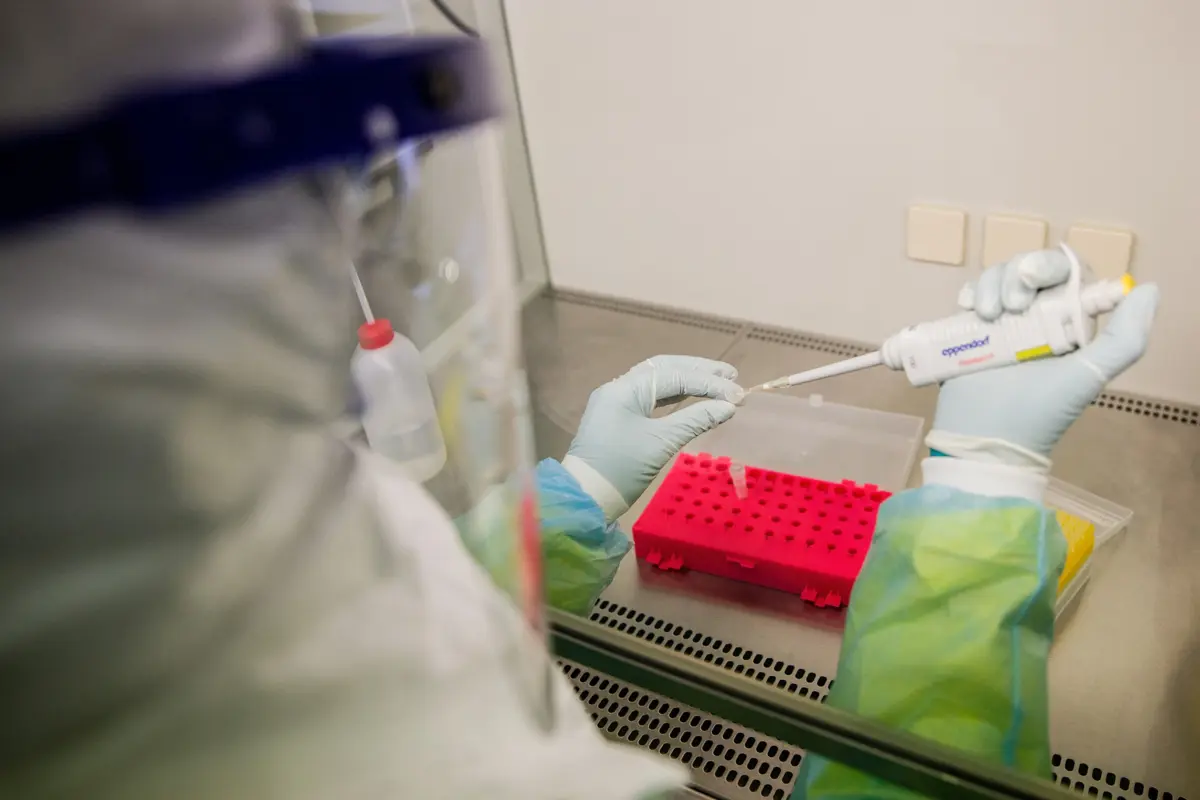 Imagem de contexto do artigo Sete mil mortes por tuberculose em excesso na Europa durante a pandemia