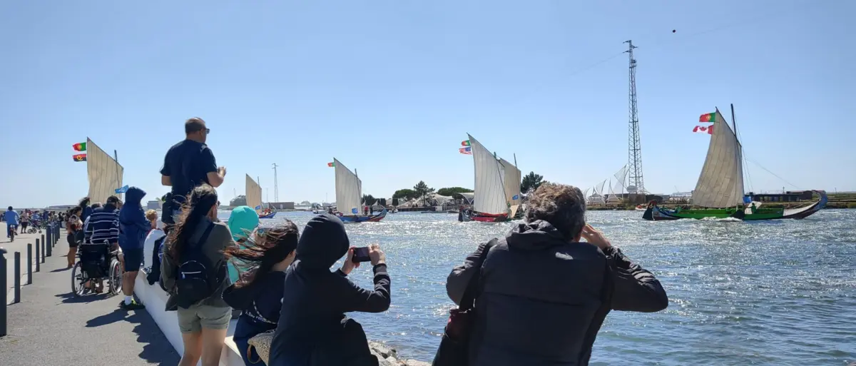 Grande regata dos moliceiros teve em competição 18 barcos na Ria de Aveiro