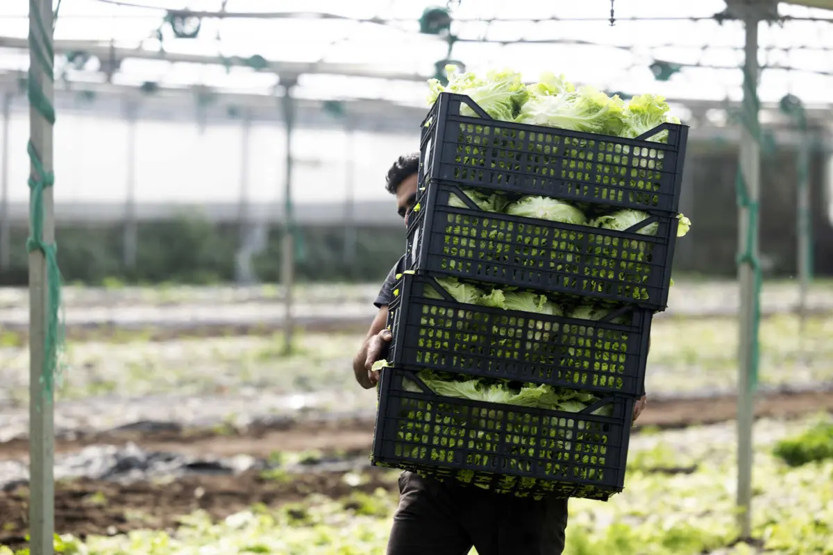 Agricultores vão ter um vice-presidente nas CCDR