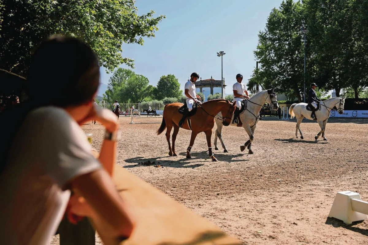 Seleção dos animais tem vindo a ser aprimorada com vista ao desporto e também ao lazer