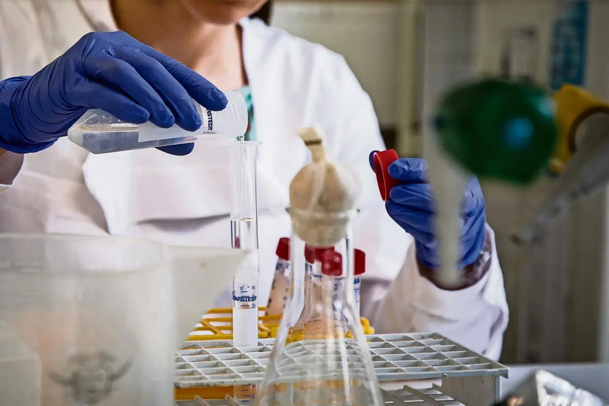 Se forem aprovados pela A3ES, cursos podem abrir no ano civil seguinte