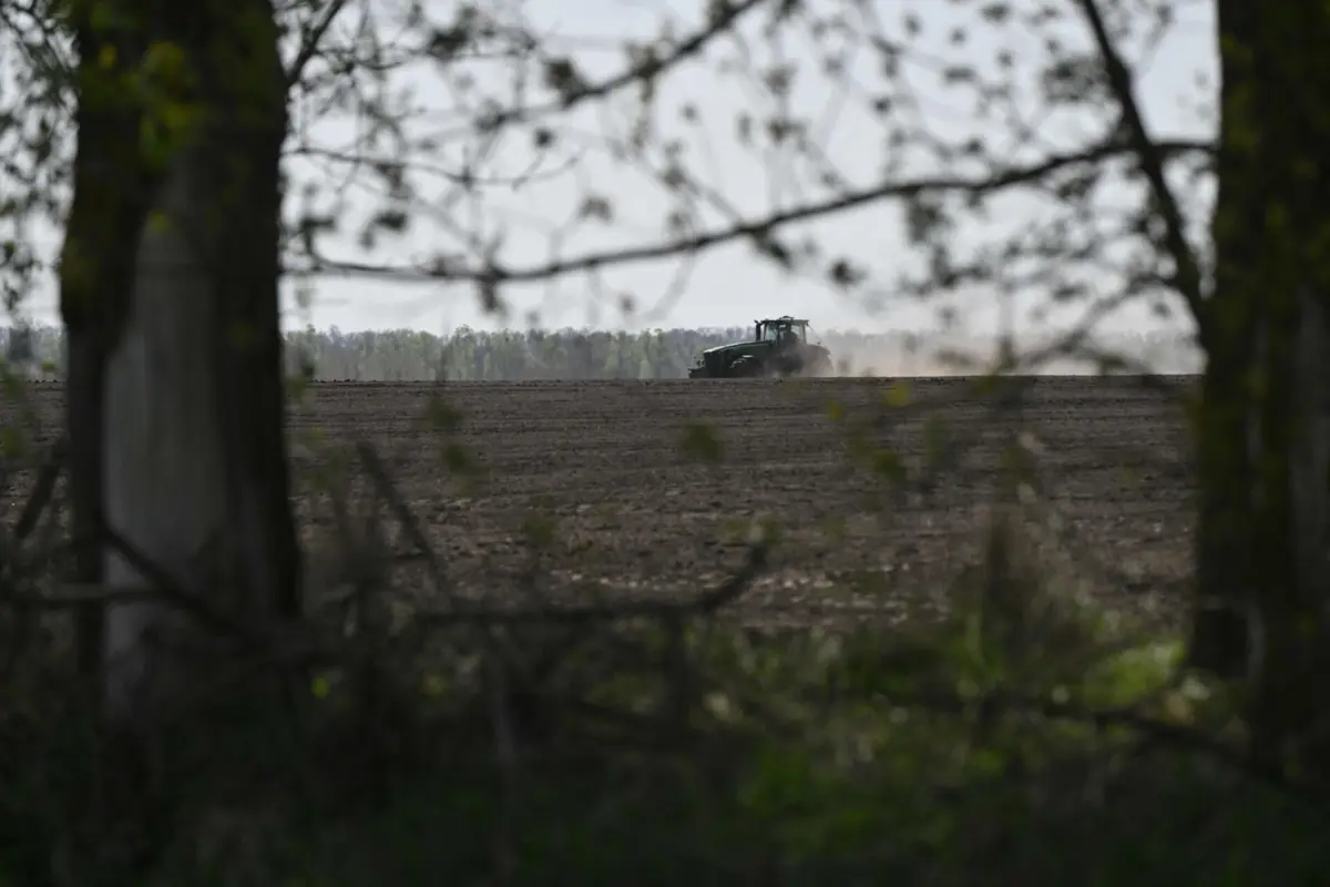 Campo agrícola na região de Kiev