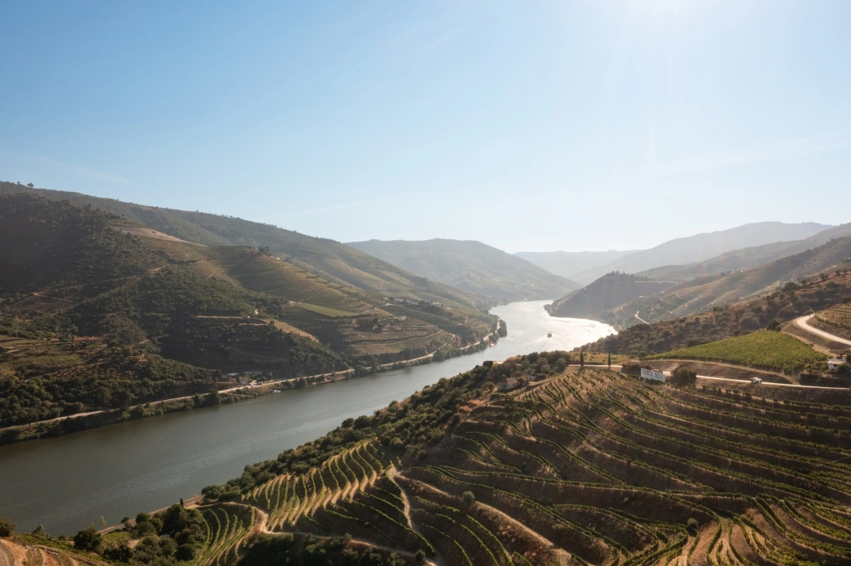 Imagem de contexto do artigo Cinco escolhas bem lidas, bebidas e lembradas, de Vila Real a Elvas, com paragens em Penafiel, Porto, Castelo de Paiva, Aveiro e Lisboa