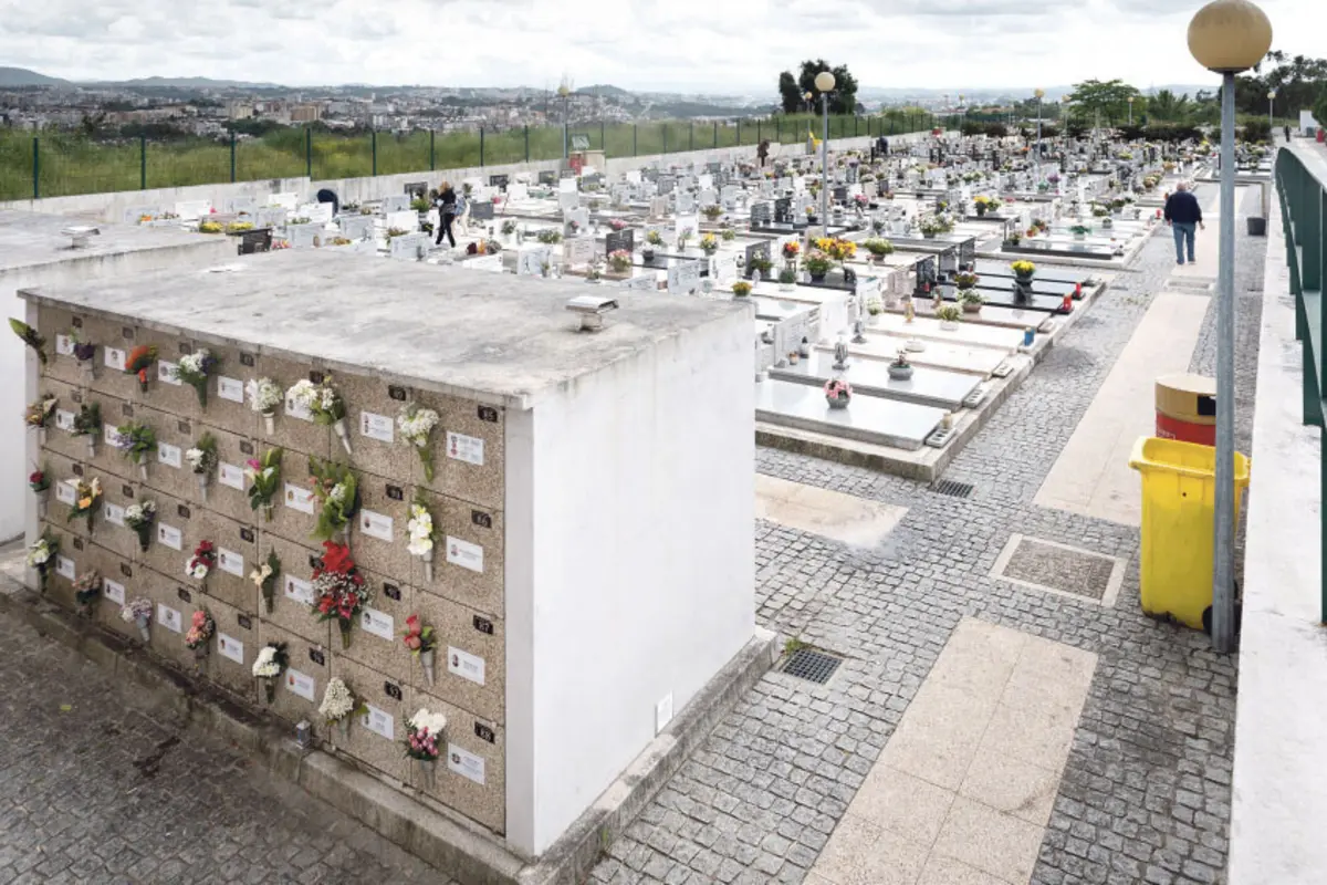 Câmara tem um mês para começar a tirar restos mortais de cemitério