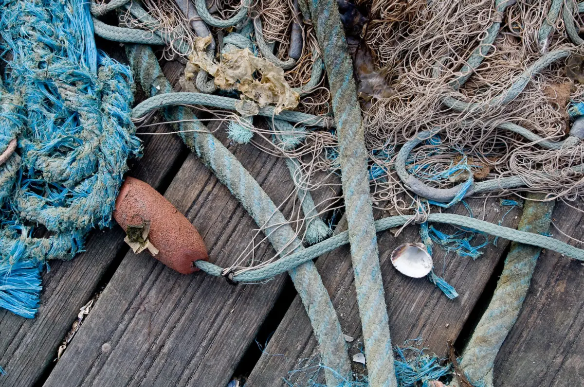 O valor total da apreensão ascendeu a 16.340 euros