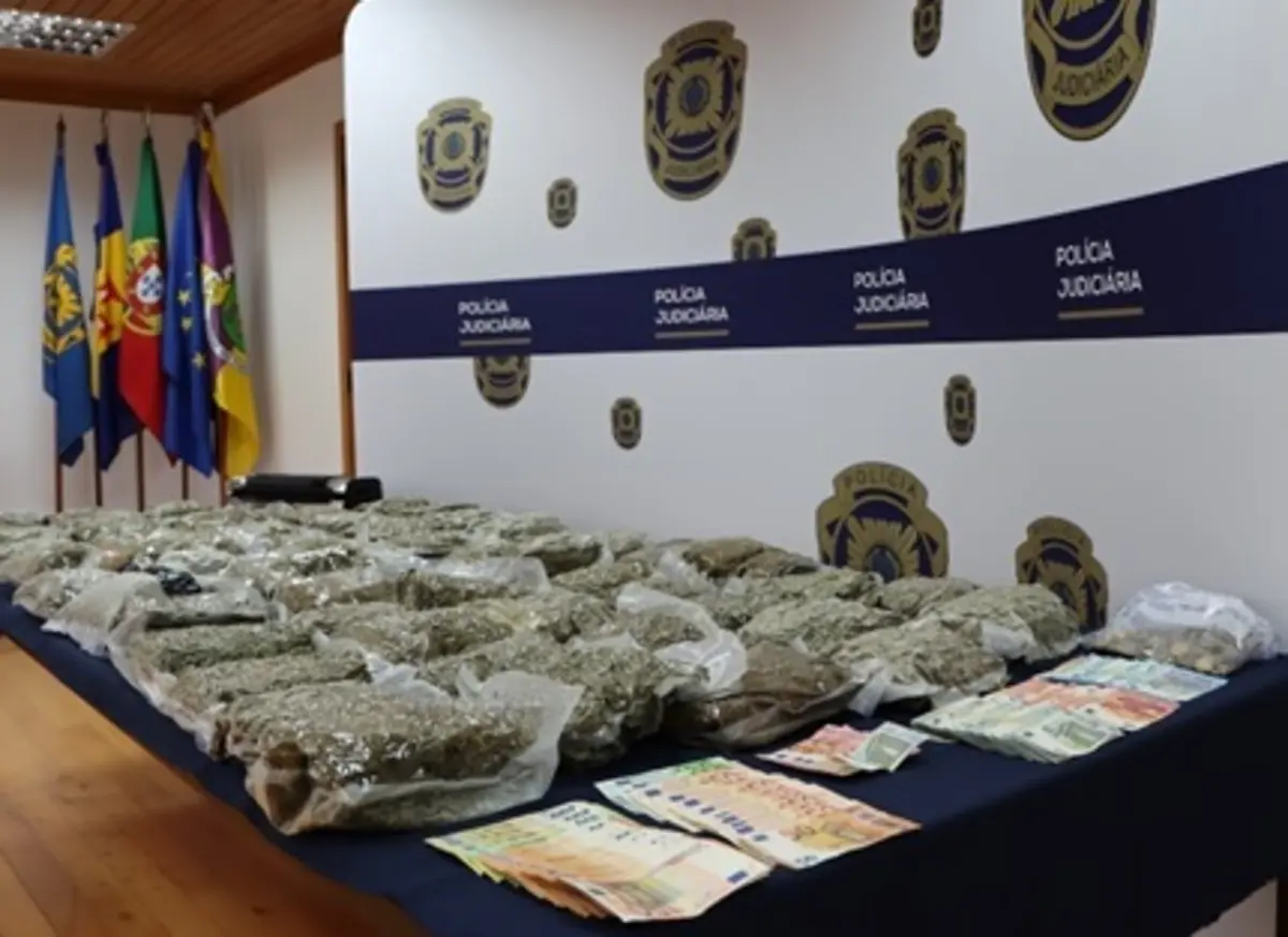 Estupefacientes apreendidos seriam suficientes para cerca de 50 mil doses individuais de "bloom"