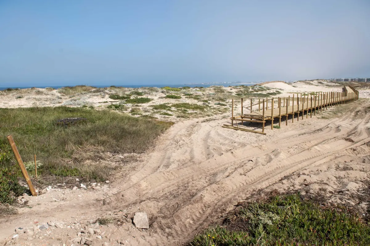 Empreitada, à beira-mar, entre dunas e charcos, começou em abril, mas não teve continuidade
