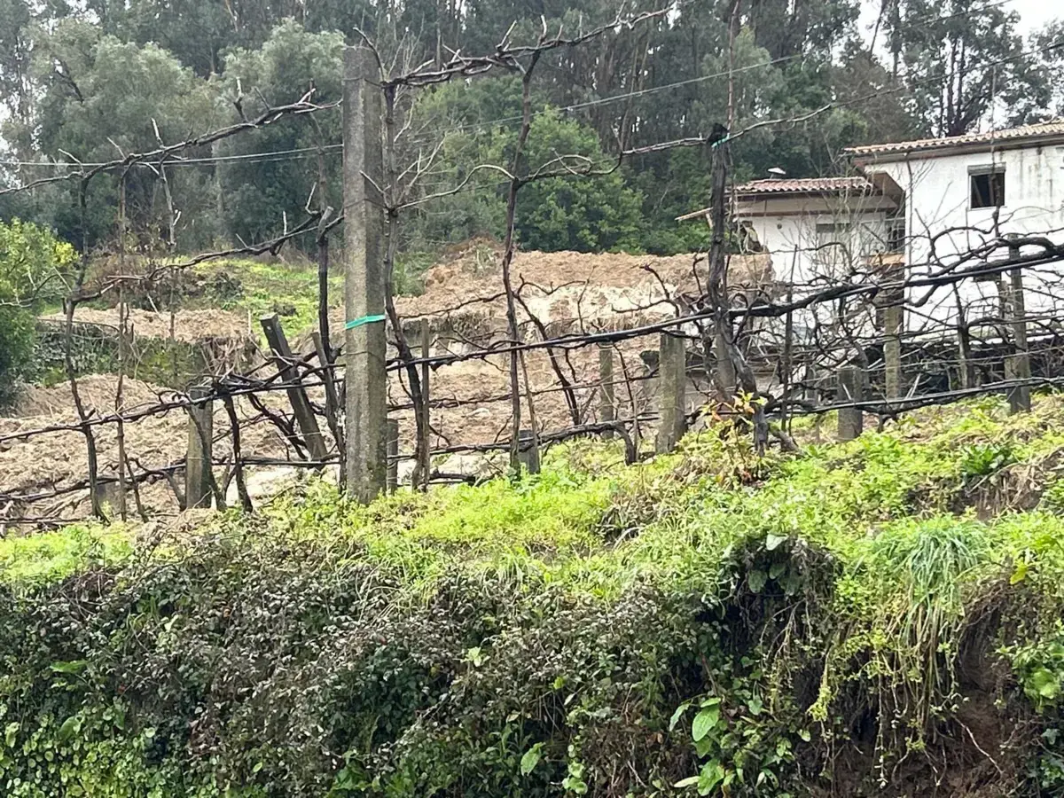 Há cinco vias fechadas, por razões de segurança