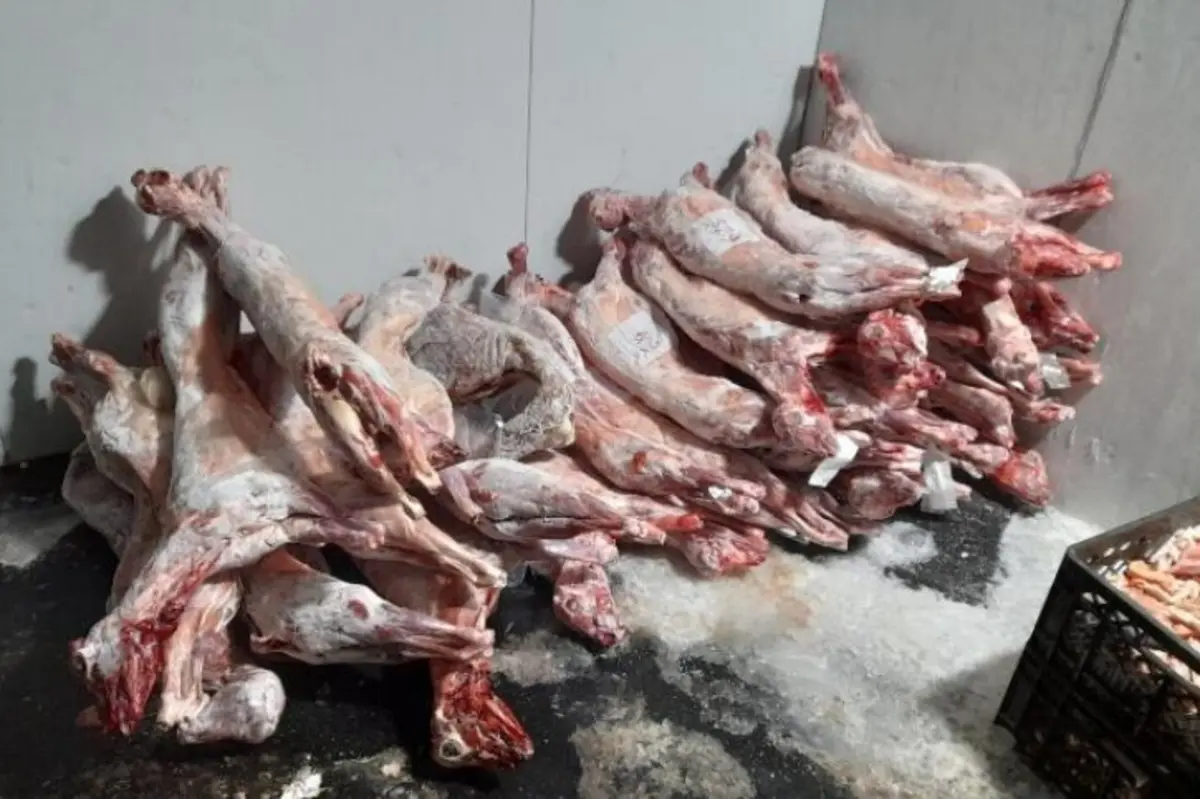 ASAE apreende 6,6 toneladas de carne