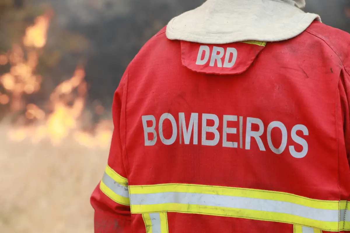 Imagem de contexto do artigo Fogo em Aljustrel corta A2 e mobiliza mais de 100 operacionais