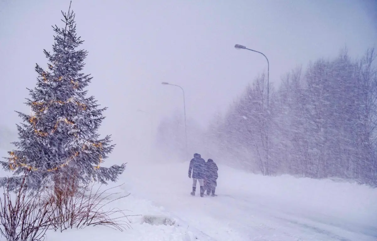 A queda de árvores provocou vários incidentes em todo o país