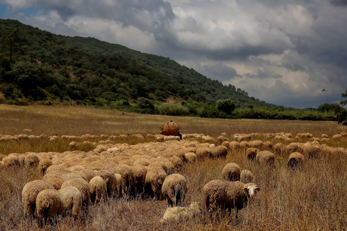 Imagem de contexto do artigo Falta de água no Algarve é a pior de sempre mesmo após as chuvas