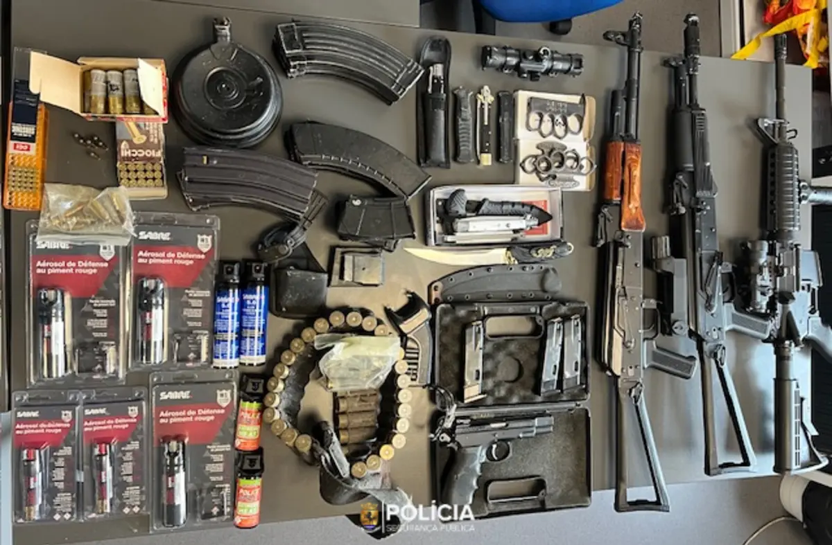 Armas apreendidas pela PSP em casa do suspeito