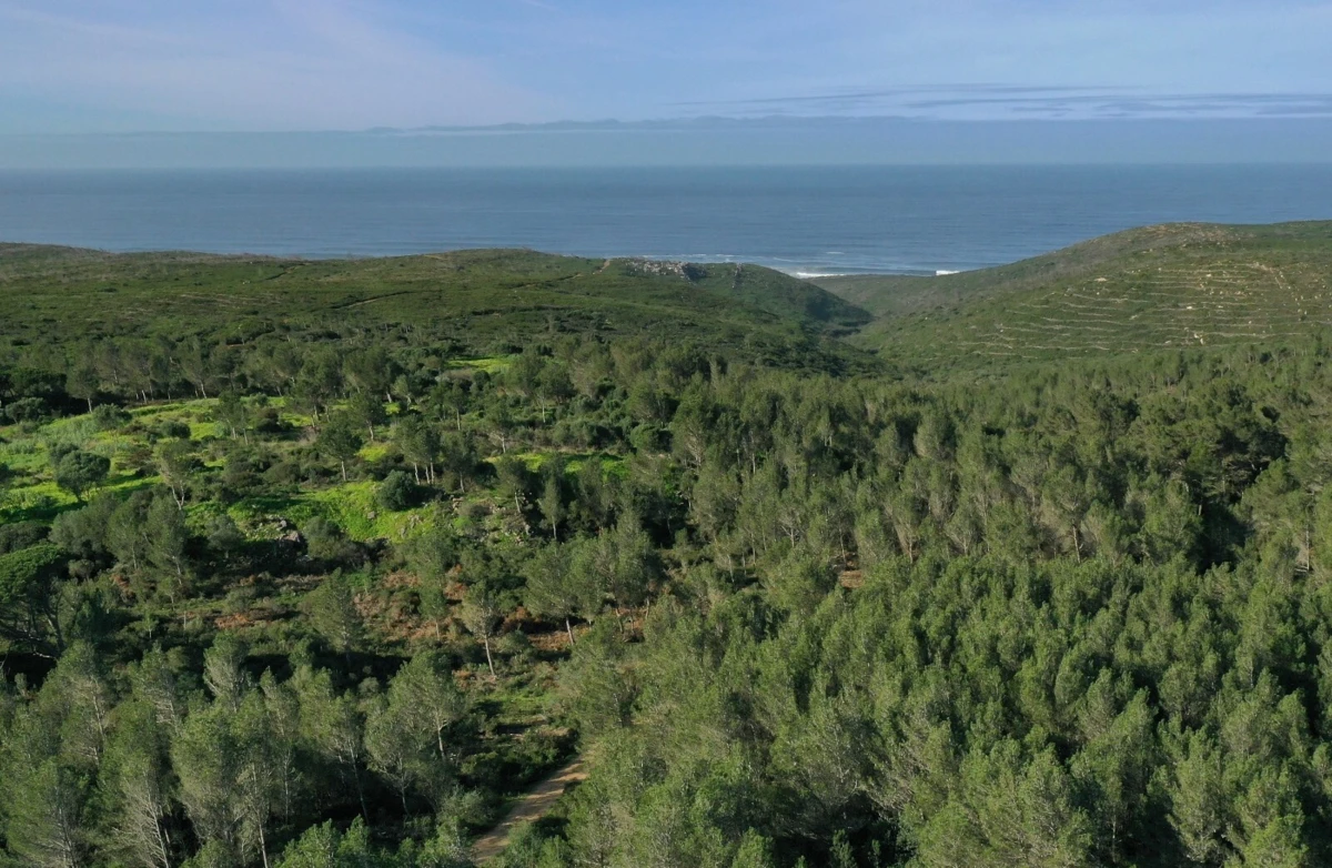 Câmara vai contrair um empréstimo de 30 milhões para comprar 450 mil metros quadrado