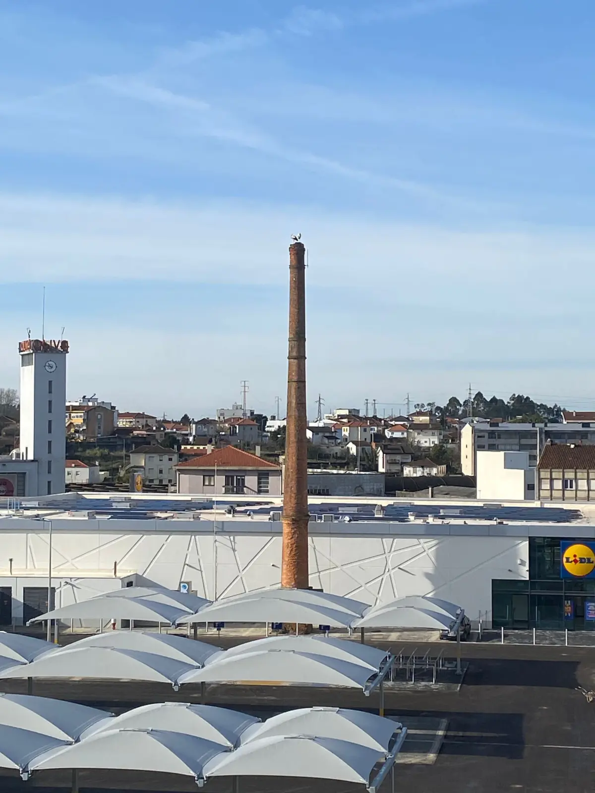 Chaminé será recuperada e o ninho reposto, garante o Lidl