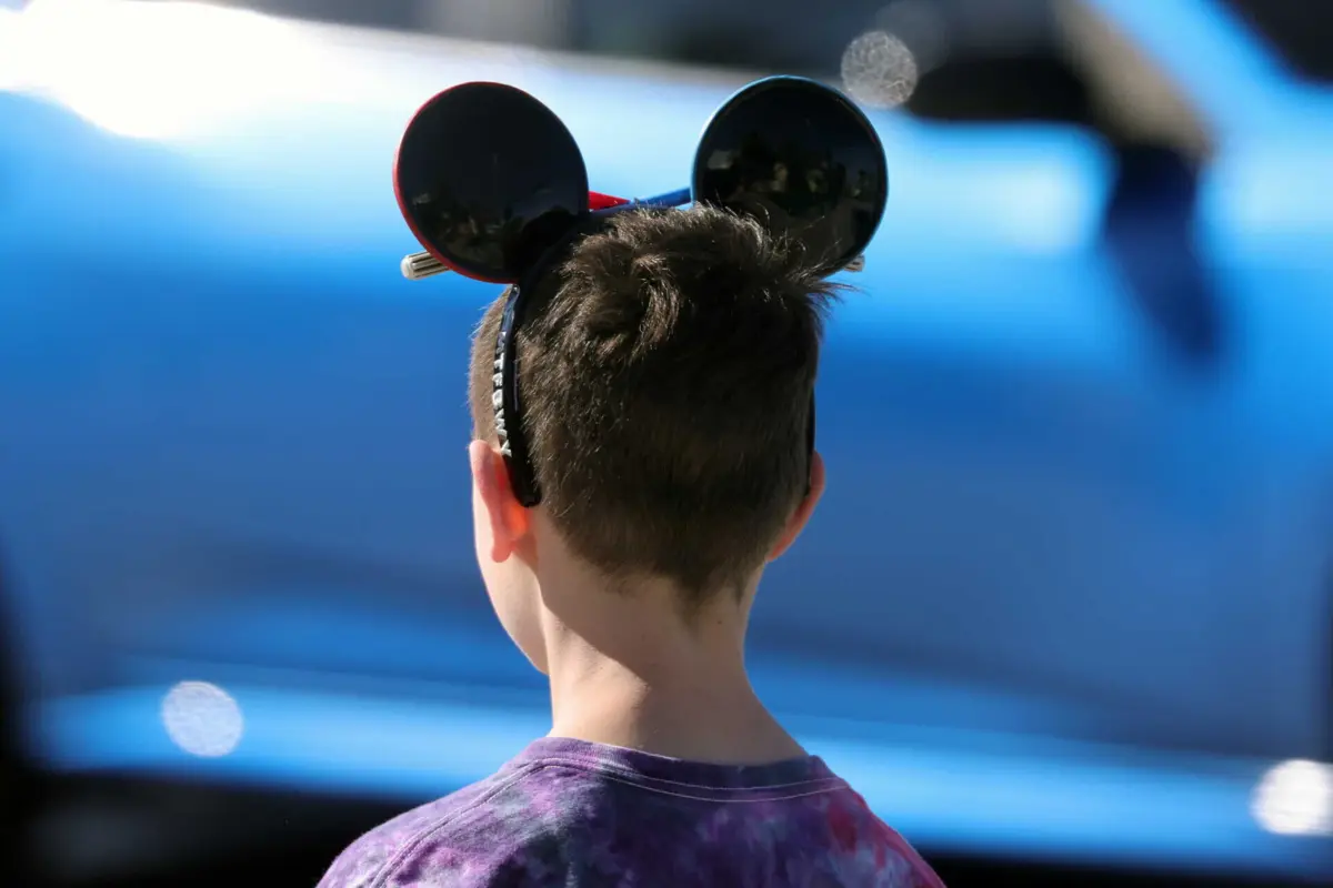 Imagem de contexto do artigo Cirurgias para cortar orelhas de animais “à Rato Mickey” causam polémica na China