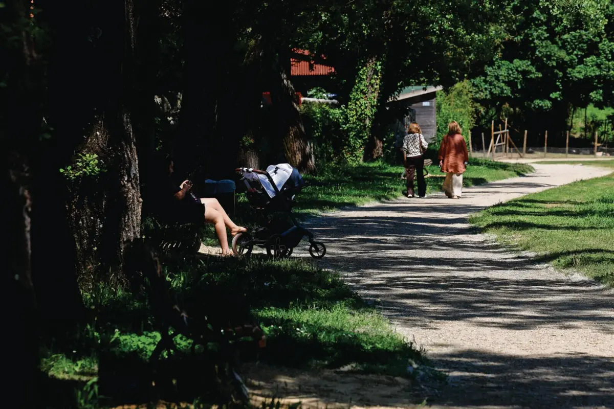 Parque urbano de Guimarães é procurado para descansar ou praticar exercício físico