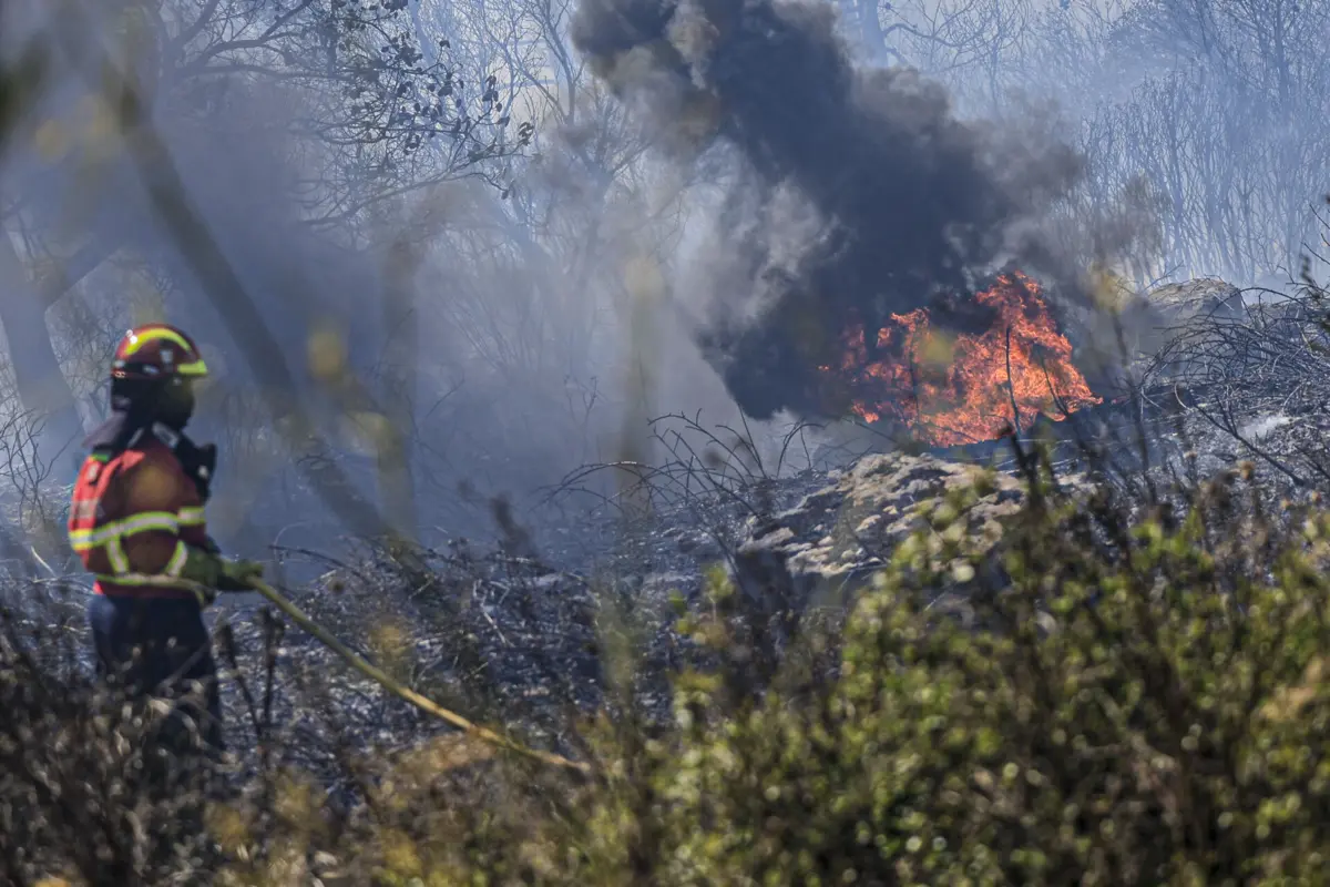 Grupo apela ao fim da política de monocultura e a incentivos a quem trabalha as terras