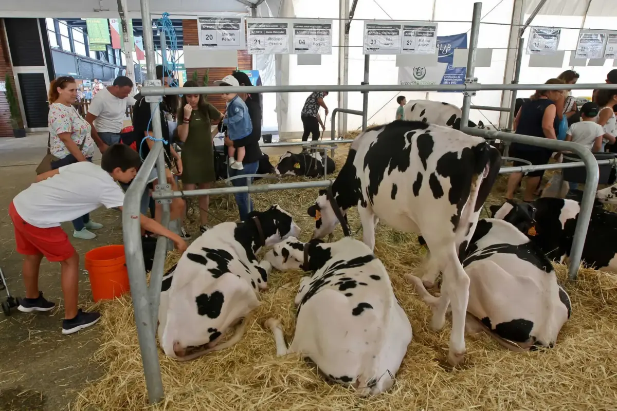 A Agrosemana abre amanhã das 9.30 horas às 0.30 horas