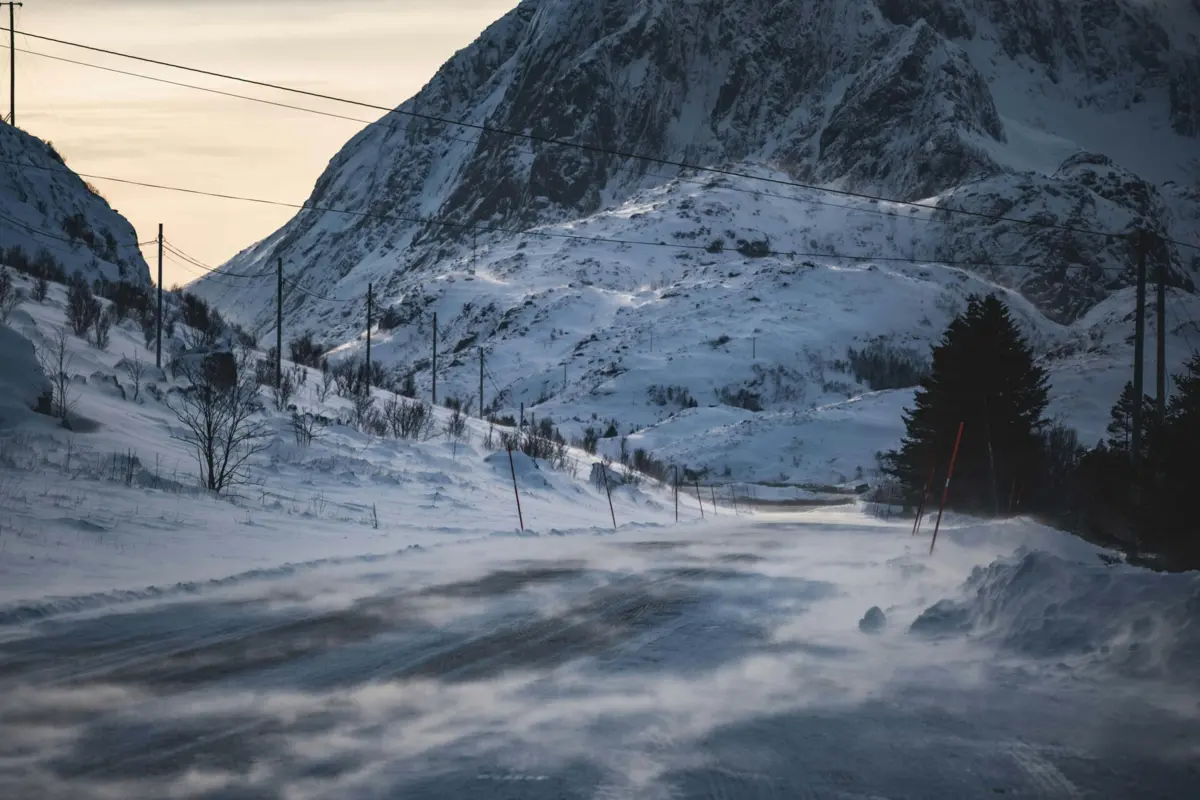 O homem fazia parte de um grupo de três turistas estrangeiros