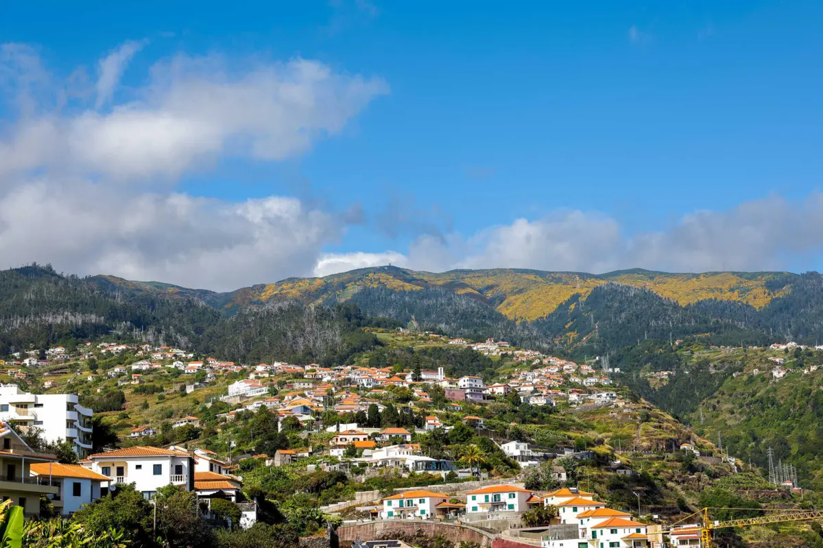 PSP e PJ estão a realizar buscas