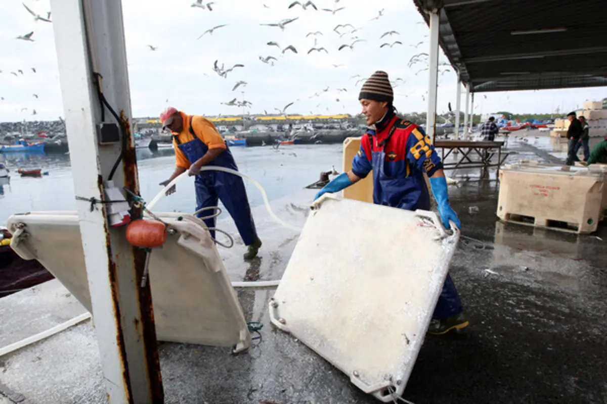 Imagem de contexto do artigo Associações de pesca recusam receber PCP e BE