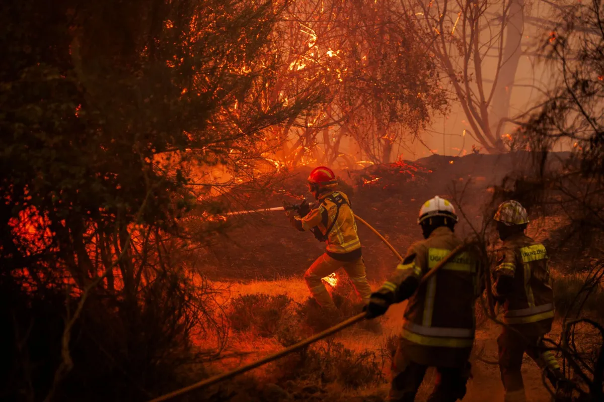 Mais de 2650 bombeiros estão a combater as chamas em território nacional